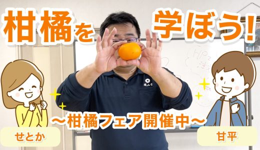 みかんを学ぼう！柑橘フェア開催中です＼(^o^)／